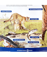 2002 International Paper Poster Life Of A Forest Florida Panther Animals... - $41.01 CAD