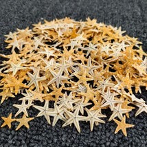 Starfish Shell Beach Wedding DIY Beach Crafts Home Decoration 100 Piece ... - $9.89