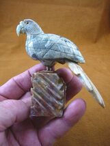 (Y-BIR-PA-407) tropical PARROT gray tan bird gemstone STONE GEM carving ... - $31.19