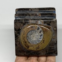 506g, 2.9&quot; x 2.9&quot; x 2&quot; Fossils Orthoceras Ammonite Business Card Holder,... - $14.00