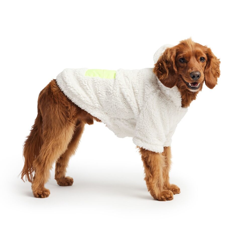 GF PET Cozy Dog Hoodie