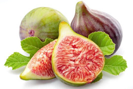 100 Celeste (Sugar) Fig Seeds For Garden Planting    From US - $10.48