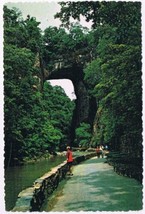 Postcard Natural Bridge Virginia Drama Of Creation Natural Wonder Of The World - £3.76 GBP