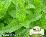 1000 Seeds Spearmint Non-Gmo Fresh Garden - $9.80