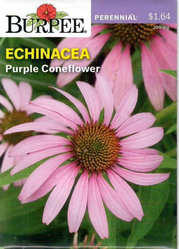 Best Echinacea Purple Coneflower Flower Seeds Burpee  - $8.42