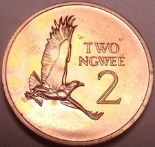 Rare Proof Zambia 1968 2 Ngwee~Martial Eagle~Extreme Low Mintage 4,000~F... - $17.34