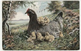 Vintage Postcard Easter Chicken and Chicks 1909 Raphael Tuck - £7.13 GBP