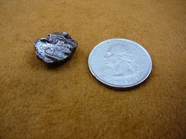 (x262-106) 6 g Campo del Cielo iron meteorite 1576 shrapnel fragment spe... - $16.99