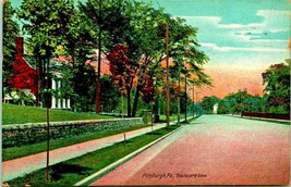 Boulevard View Near 5th Avenue Pittsburg PA Pennsylvania 1910 DB Postcard - £3.07 GBP