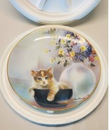 Cat Kitten Collector Plates The Danbury Mint - Kitten Cousins By Ruane M... - £7.79 GBP