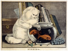 4425.White cat fishing for fish.inn fish bowl.POSTER.decor Home Office art - £13.63 GBP+