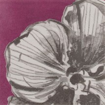 Black Orchid by Michael Aram 3-Ply Beverage Napkins Paper 24 Pack Tableware - $13.29