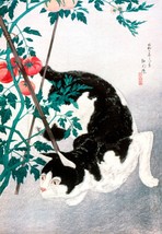 11895.Poster decor.Home Wall.Room Japan art.Kamisaka Sekka painting.Pet Cat - $16.20+