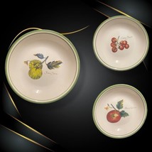 Williams Sonoma 3-Pasta Bowls Heirloom Tomatoes Portugal Ceramic Soup Dishes - £43.59 GBP