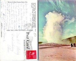 Wyoming Yellowstone National Park Old Faithful Posted 1952 VTG Postcard - £7.51 GBP