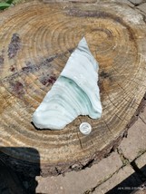 Beautiful white Green striped Angel Cosmic Energy Andara Natural Crystal 325 gr - £308.47 GBP
