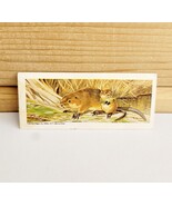 Vintage National Biscuit Co (Nabisco) Mini Trade Card 1969 S7N8 Muskrat - $371.27 MXN