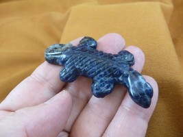 (Y-LIZ-UR-701) Blue Sodalite UROMASTYX LIZARD carving FIGURINE gemstone ... - $17.53
