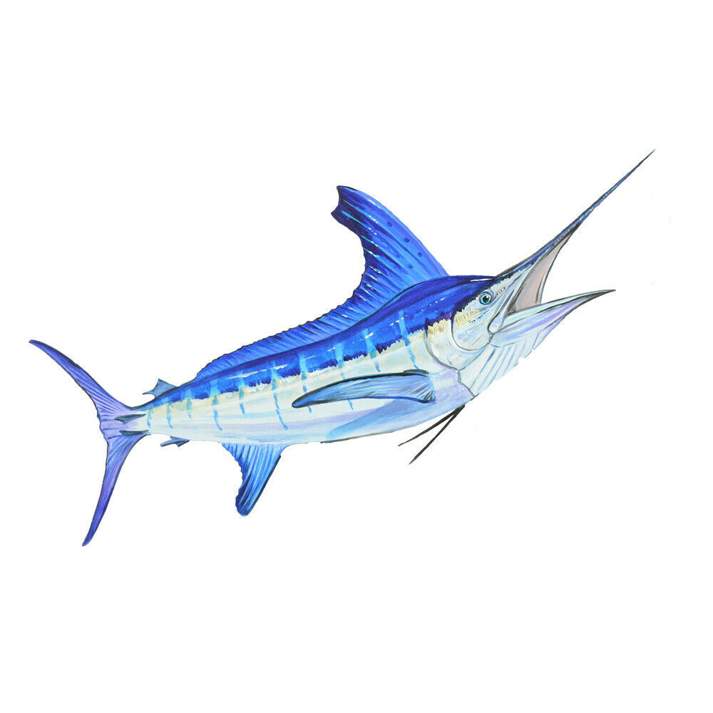 thumbnail image 2 of Realistic Flounder Fish Vinyl Decal Sticker - Multicolor - For Car, Truck, Boat, Cooler 2 of 3