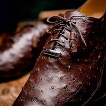 Criss Genuine Ostrich Quill Dress Shoes Oxford Brown image 11