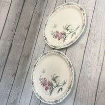 Noritake CASUAL GOURMET Garden Gourmet Dinner Plates 11” Set of 2 Floral - $23.76