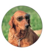 Golden Retriever Glasses : Gift Coaster Dog Funny Pet Animal Puppy - €4,28 EUR