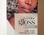 L&#39;Oreal Paris Silver Slate Le Color Gloss One Step Toning Gloss - £11.83 GBP