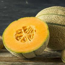 Fresh Honey Rock Melon Seeds Cantaloupe Sugar Rock - $4.00