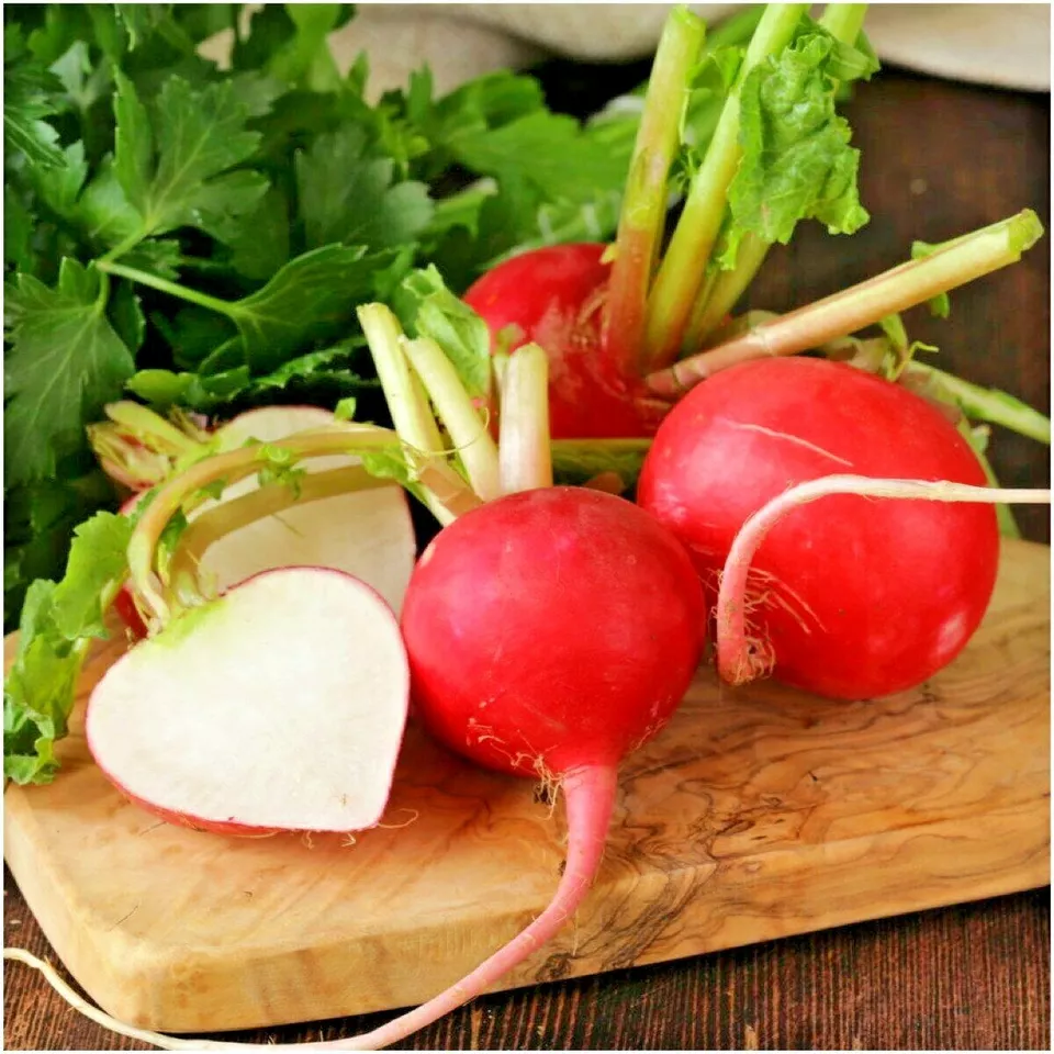 300 GERMAN GIANT RADISH Seeds Organic Heirloom Vegetable - $4.91 CAD