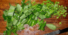 7 Chinese Spinach Seeds-1291 - £3.11 GBP