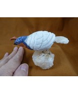 (Y-BIR-QU-42) Quail tan white blue bird gemstone STONE figurine Peru quails - $765.07 MXN