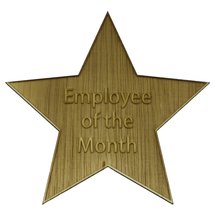Employee Of The Month 5&quot; Star - £11.70 GBP