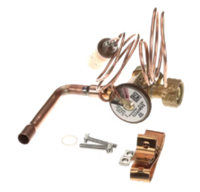 ICP EA36YP273 Expanson Valve/TXV Kit R410A, 045237-03 Real OEM - $6,818.02 MXN