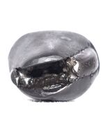 Laxmi Bhu Varaha Shaligram / Lakshmi Salagram - Gandaki River Nepal - $209.16 CAD