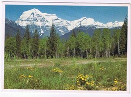 British Columbia BC Postcard Mount Robson Canadian Rockies - $2.16