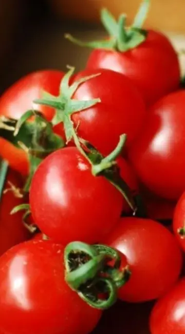 Large Red Cherry Tomato Heirloom Seeds 30 Seeds Fresh Garden - £10.93 GBP