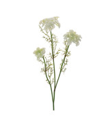 Queen Anne&#39;s Lace Floral Spray (Set of 6) - $1,297.47 MXN