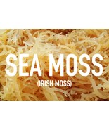 Jamaican Seamoss (Irish Moss ) - 8 oz - £18.66 GBP