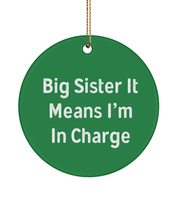 Sister for Big Sister, Big Sister It Means I&#39;m in Charge, Epic Sister Circle Orn - £13.48 GBP