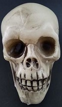 Greenbrier Halloween Human Skulls Plastic 4.5H x 4W x 6.5D - $7.51