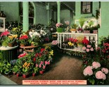 Kensington Flower Shop Interior Boston Massachusetts MA UNP DB Postcard G2 - £3.88 GBP