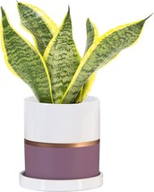 Ekirlin 5 Inch Plant Pot - Ceramic Flower Planters Indoor - Modern, Purple - £31.63 GBP