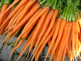 300 Seeds Carrot Tender Sweet Heirloom Seeds Swift Bloom Thrive - $8.35