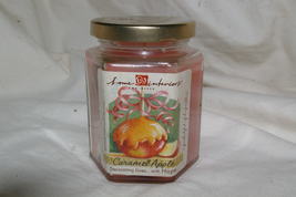Home Interiors & Gifts Candle in Jar CIJ Caramel Apples Jar Candle New Homco - £11.96 GBP