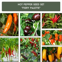 Spice Lover&#39;s Dream - &#39;Fiery Palette&#39; Hot Pepper Seed Kit, Non-GMO, Ideal for Ga - £18.96 GBP