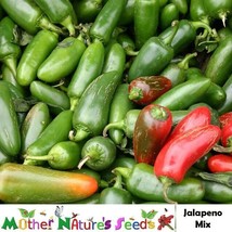 Hot Pepper Jalapeno M Medium 5,000 Scovilles Poppers Heirloom Non-Gmo 100 Seeds - £7.72 GBP