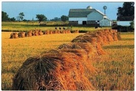 Amish Farmland Postcard Pennsylvania Hay Bundles - £2.33 GBP