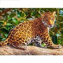 5D Diamond Painting Leopard Baby - £10.88 GBP+