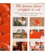 1962 Campbell&#39;s Classic Tomato Soup Advertisement Famous Flavor In Red HM2O - $29.99