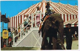 Ringling Barnum Bailey Postcard A Ride To Remember Children on Back of E... - £1.69 GBP